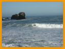 rockaway&dogs 006.jpg